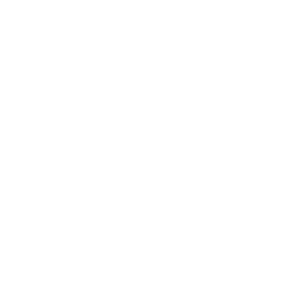 HECHO-EN-MEXICO1